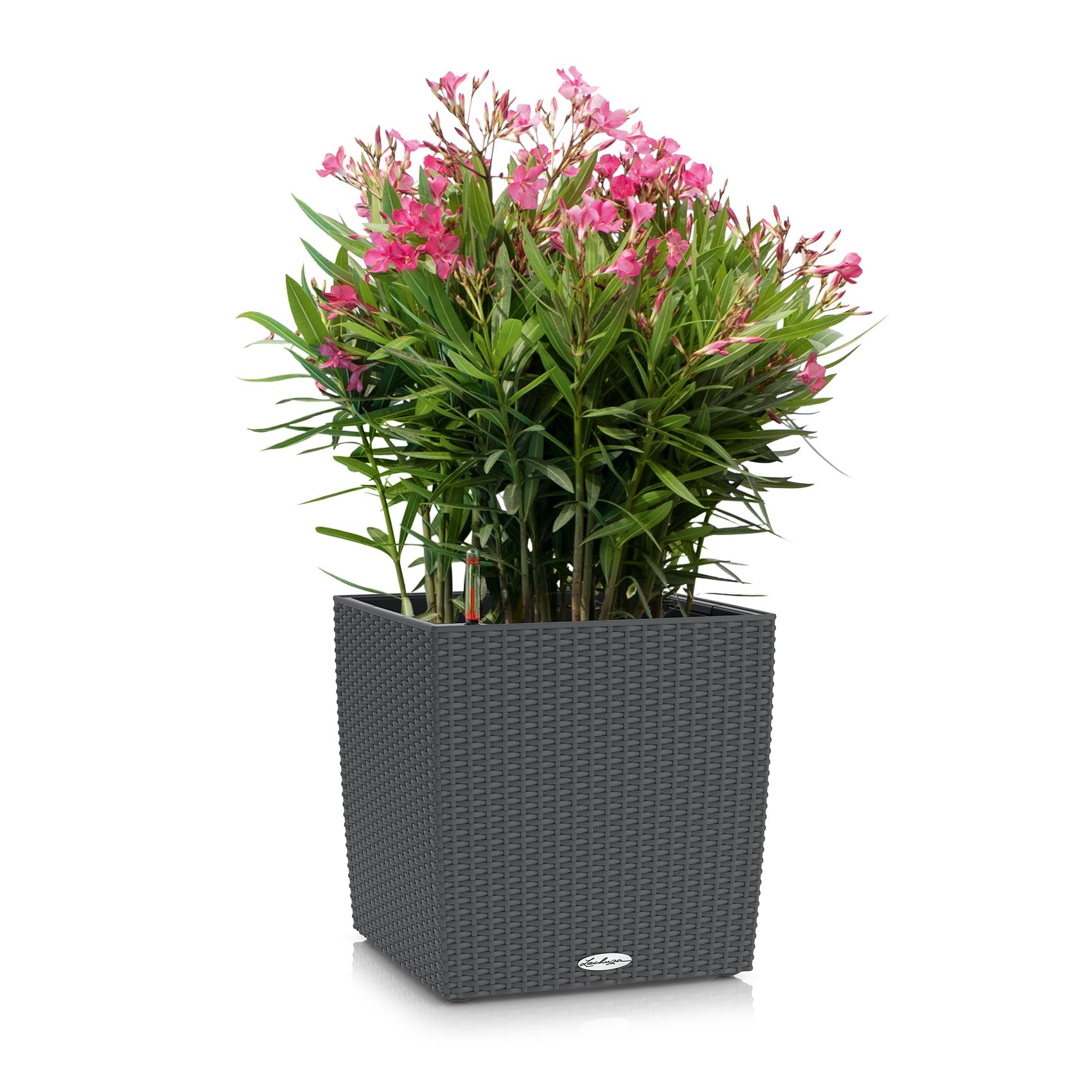 lechuza-cube-cottage-50-granit-mit-bew-sserungssystem-29-5-cm image 2