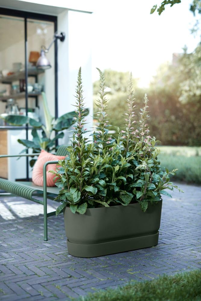 elho-greenville-pflanztrog-80-cm-mit-rollen-leaf-green image 6