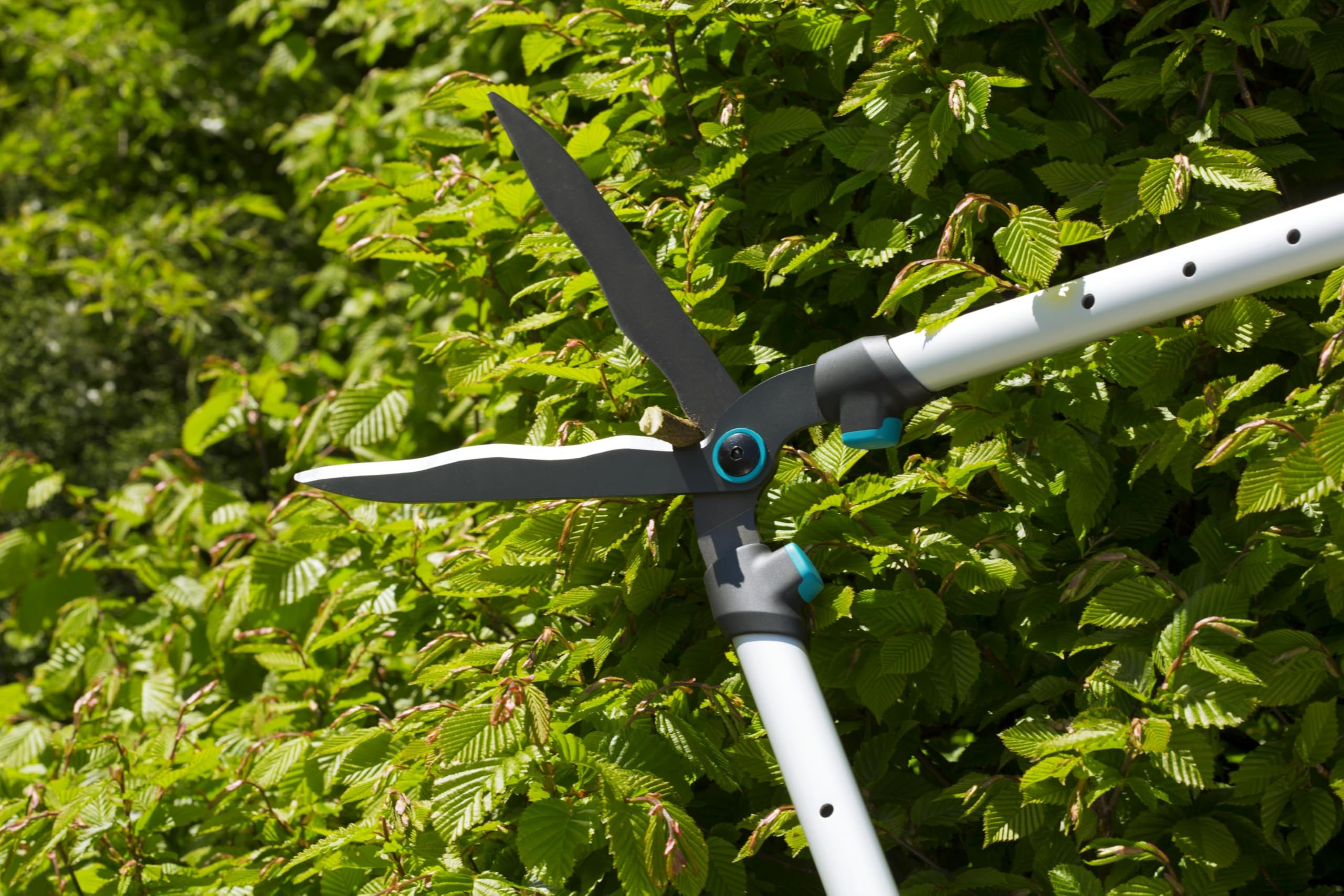 gardena-heckenschere-telecut-12304-20-23-cm-mit-teleskopgriffen image 3