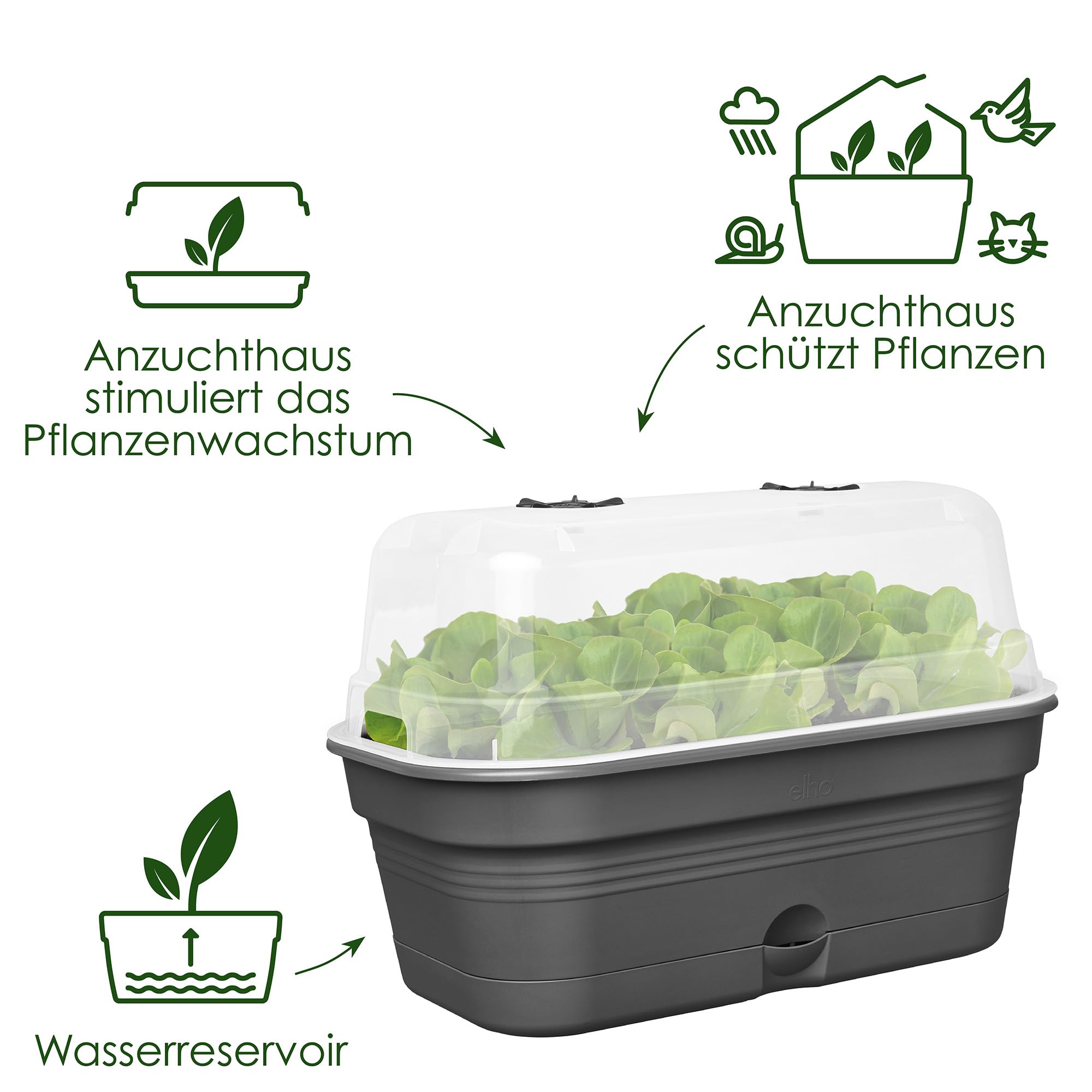 elho-green-basics-anzucht-schale-all-in-1-m-living-schwarz image 2