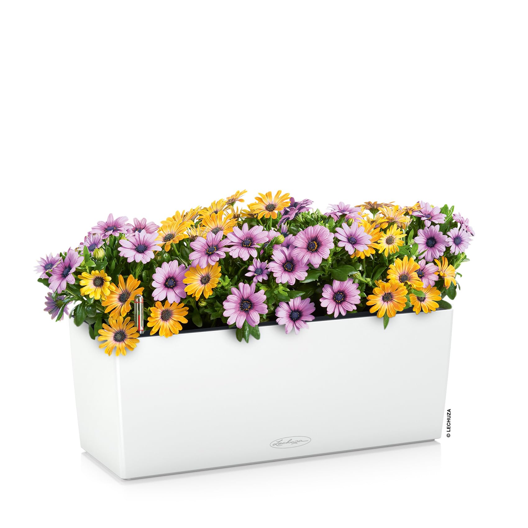 lechuza-balconera-color-50-balkonkasten-all-in-one-set-wei-50cm image 2