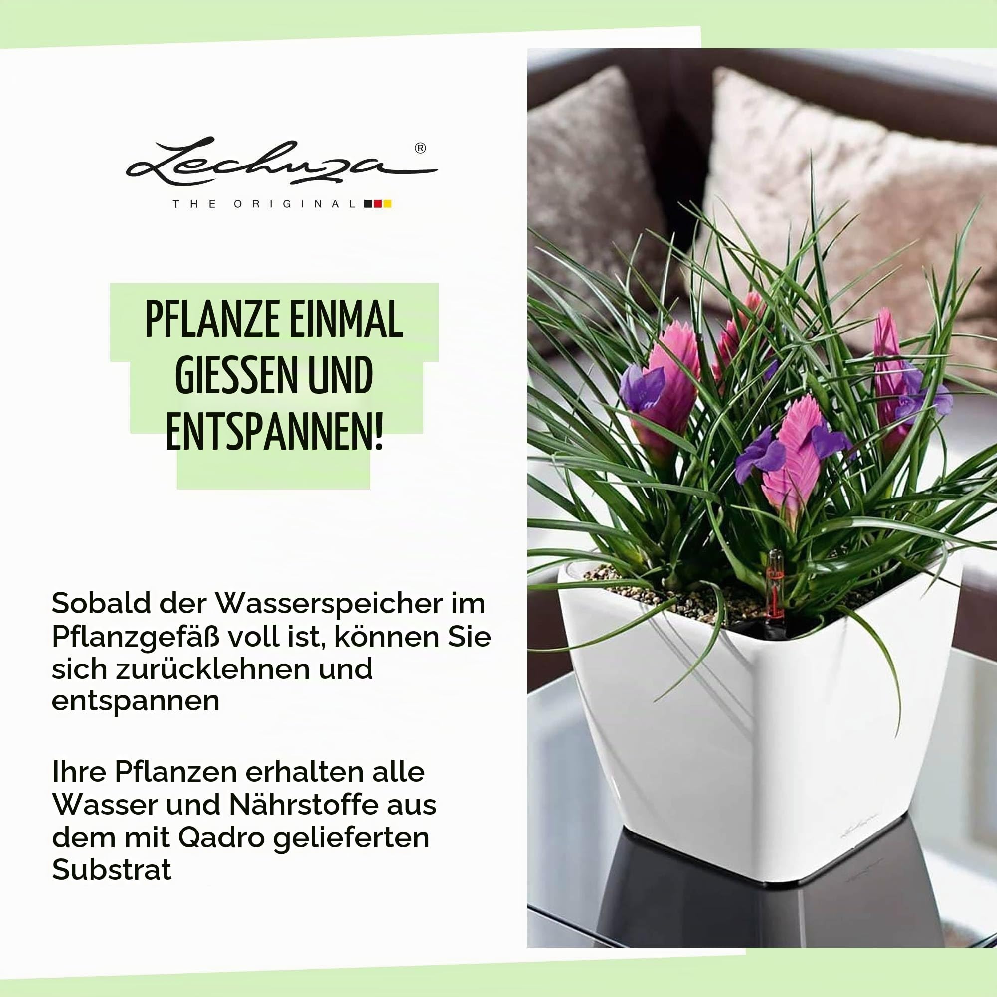 lechuza-quadro-premium-ls-50-taupe-hochglanz-pflanzw-rfel-mit-bew-sserung image 8