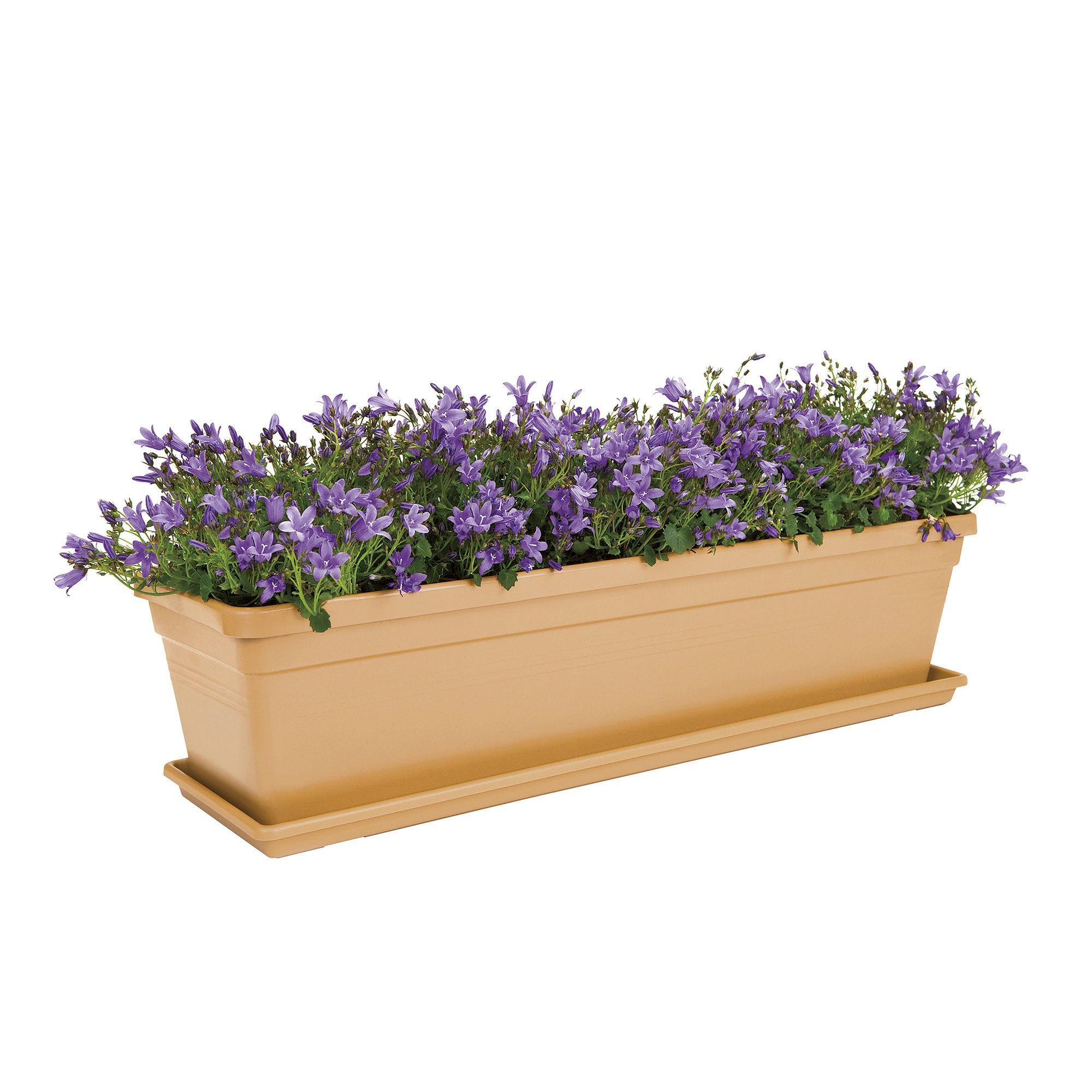 elho-green-basics-balkon-untersetzer-40-anthrazit-37-3-cm image 4