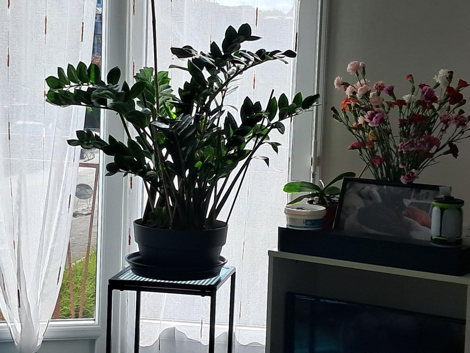 Wunderschöne Schale für den Balkon