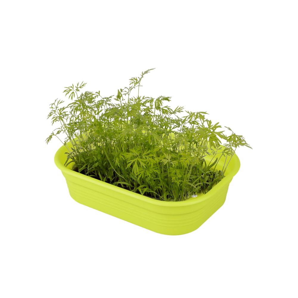 elho-green-basics-anzucht-schale-s-lime-gr-n-anzuchtschale-23-9-x-19-2-x-6-1-cm image 6