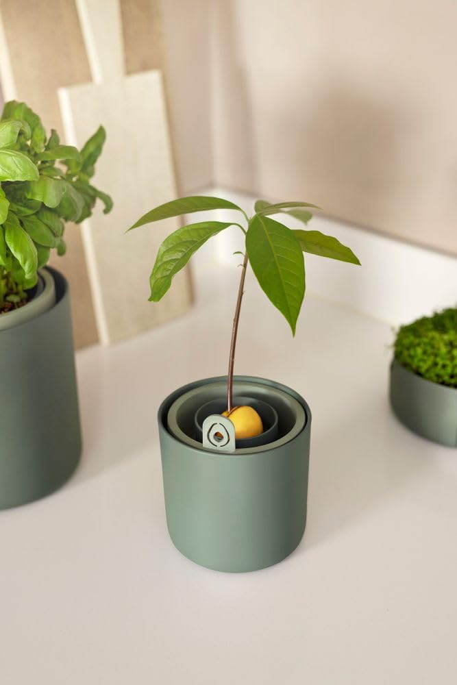 elho-amazing-avocado-pot-leaf-green-12-x-h-12-1-cm-aus-100-recyceltem-kunststoff image 8