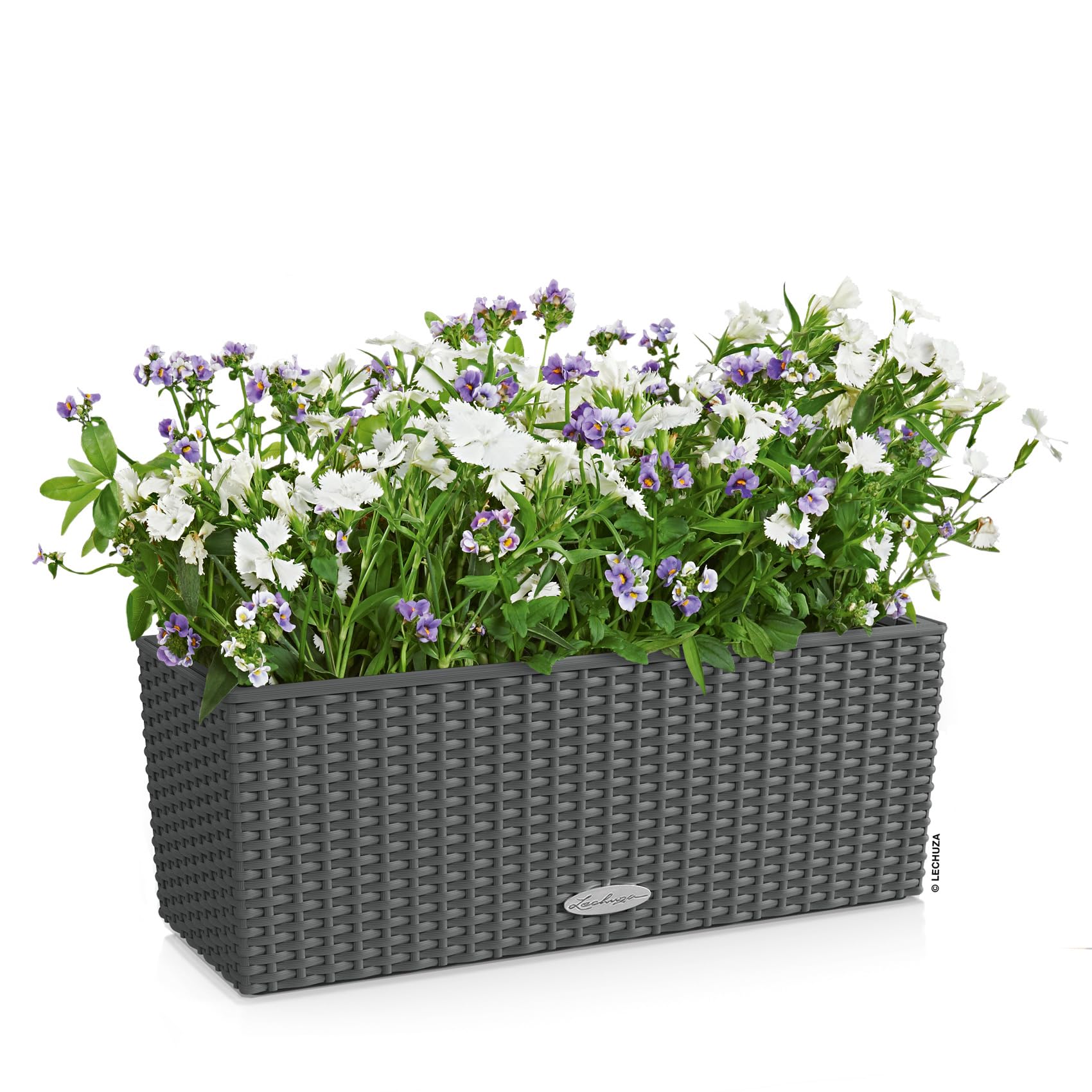 lechuza-balconera-cottage-50-granit-50-x-19-x-19-cm-mit-bew-sserung image 2