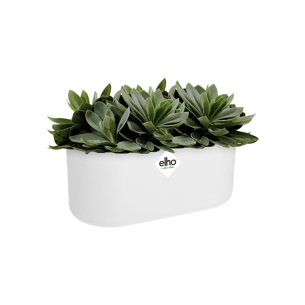 elho-b-for-soft-duo-flowerpot-27-cm-wei-doppel-pflanztopf-f-r-2-pflanzen image 3
