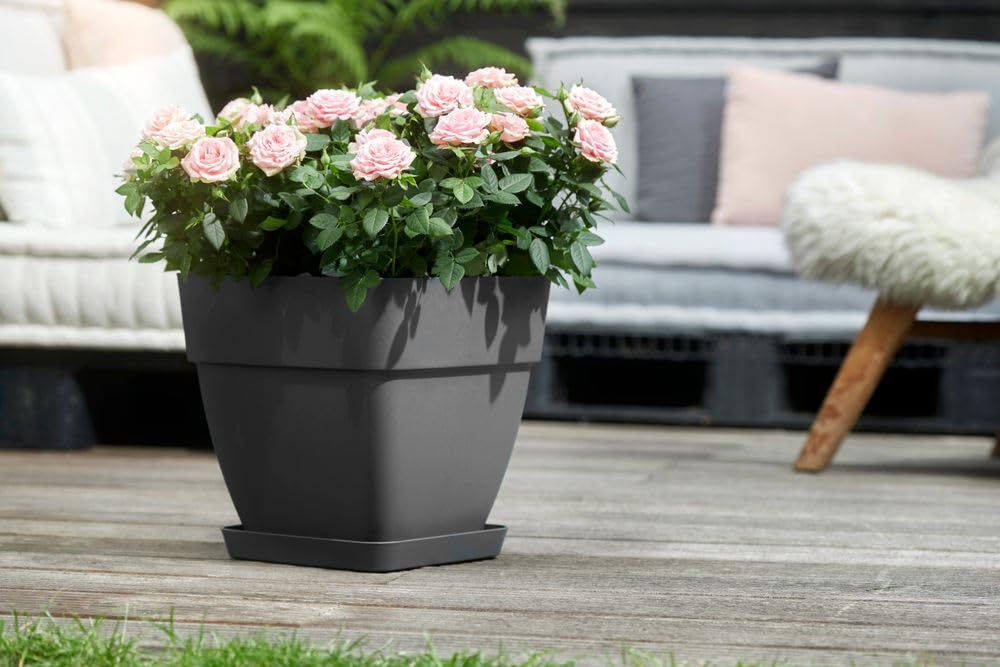 elho-vibia-campana-quadrat-37-cm-blumentopf-anthracite image 8