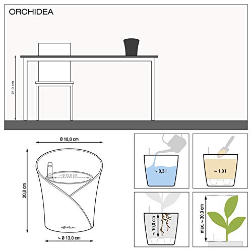 lechuza-orchidea-bertopf-18-x-h-20-cm-wei image 8