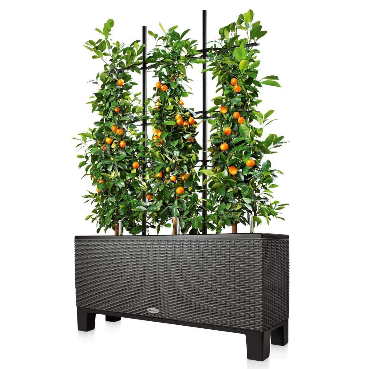 lechuza-trio-rankgitter-30-schwarz-86x135-cm image 3