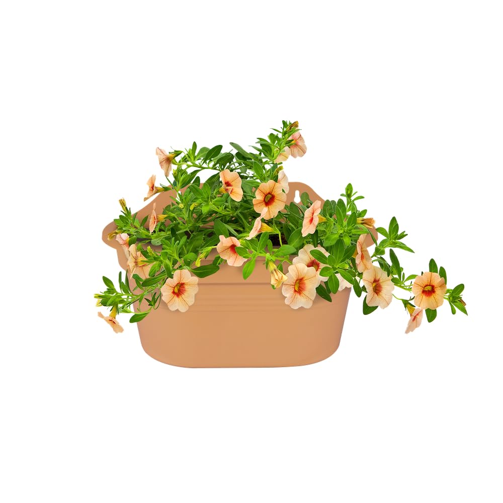 elho-green-basics-wandampel-30-bertopf-mild-tonrot image 6