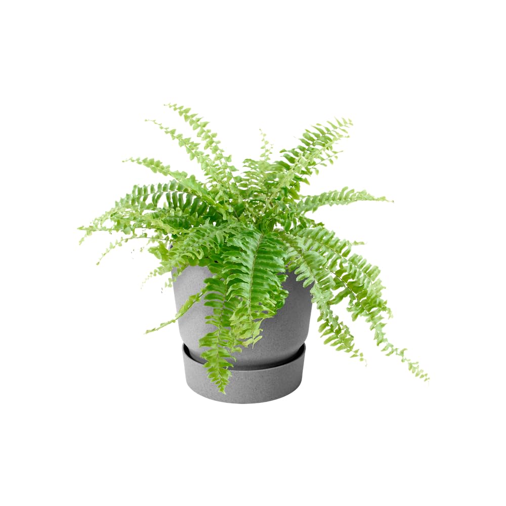 elho-greenville-easy-hanger-19-5-balkon-blumentopf-19-4-x-h-23-7-cm-grau-living- image 3