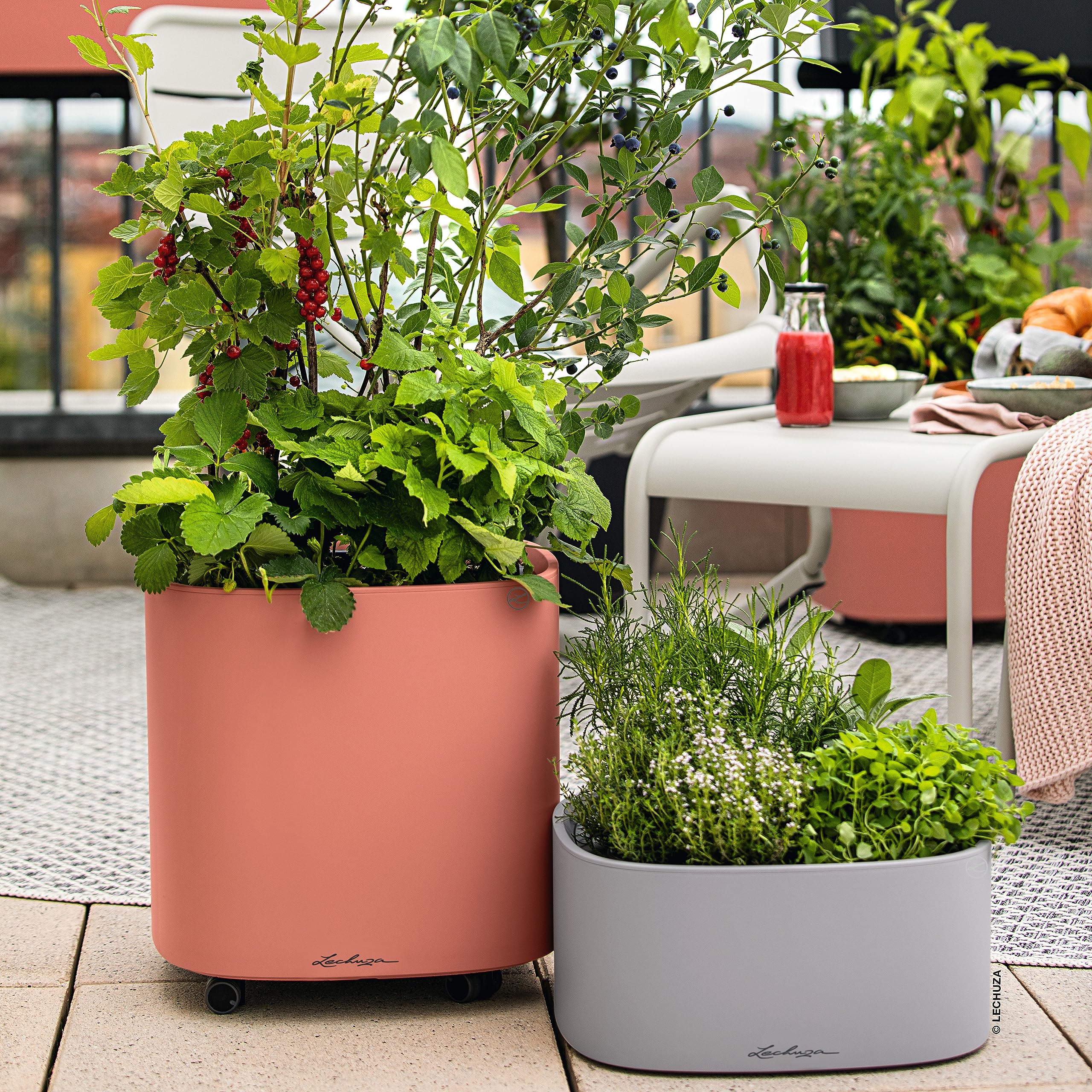lechuza-pila-color-planter-35-korallrot-35x35x33-cm-mit-bew-sserungssystem image 6