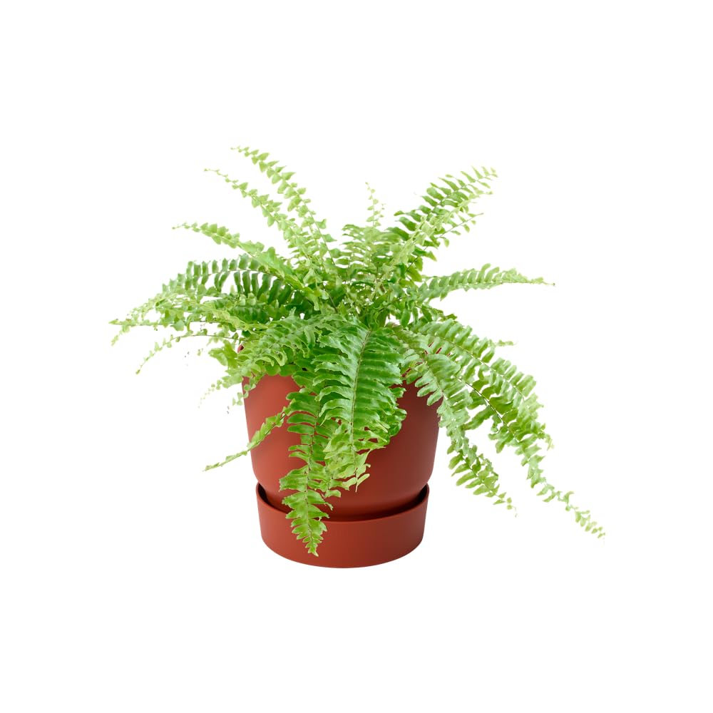 elho-greenville-easy-hanger-19-5-blumentopf-braun-brique-19-5-x-h-23-7-cm image 3