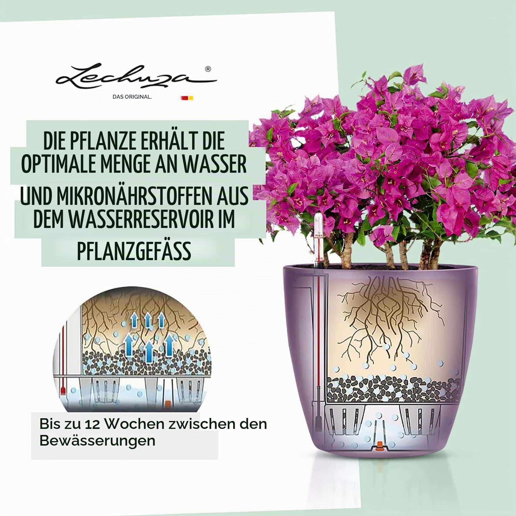lechuza-classico-color-ls-21-sandbraun-pflanzgef-mit-bew-sserungssystem image 5