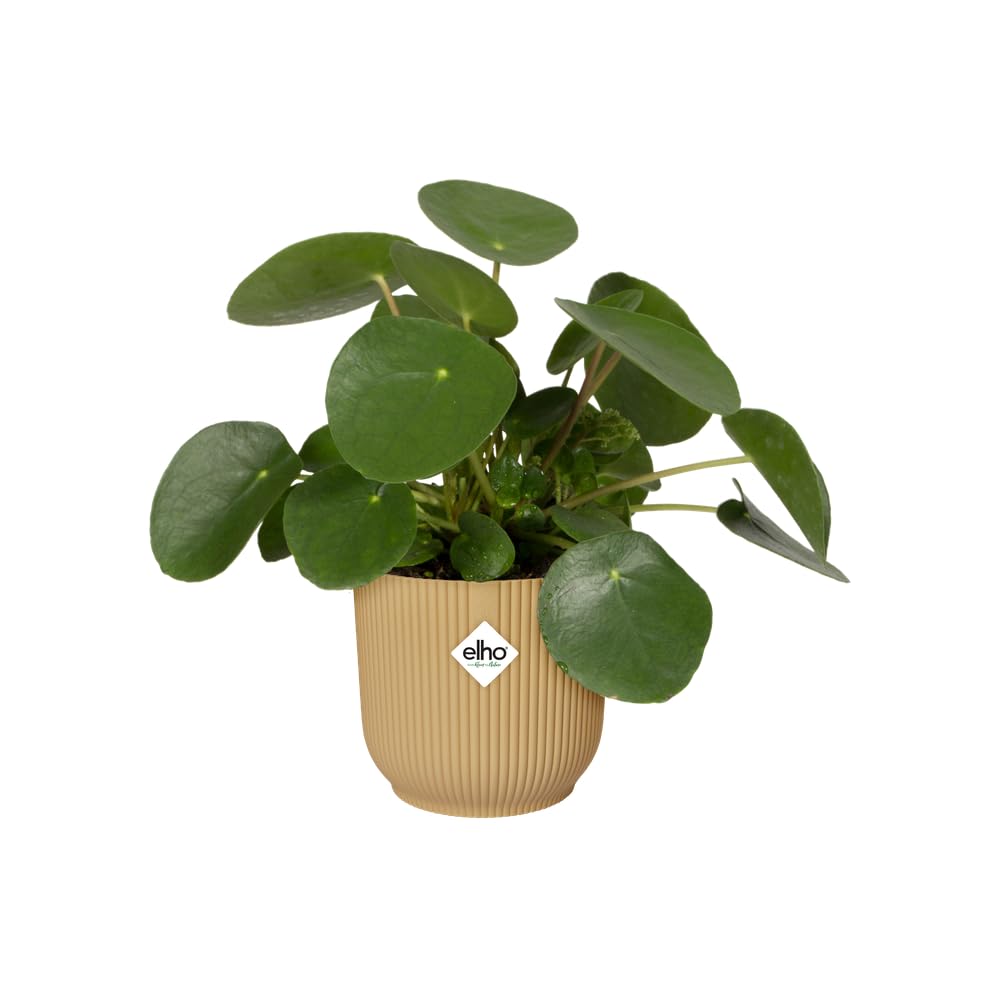 elho-vibes-fold-rund-rollen-35-cm-blumentopf-buttergelb image 3