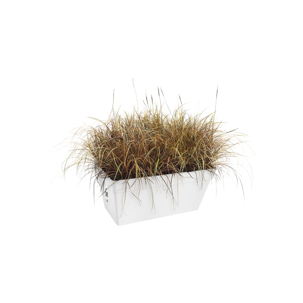elho-loft-urban-terrace-rollen-70-cm-pflanzkasten-wei-mit-wasserreservoir image 3