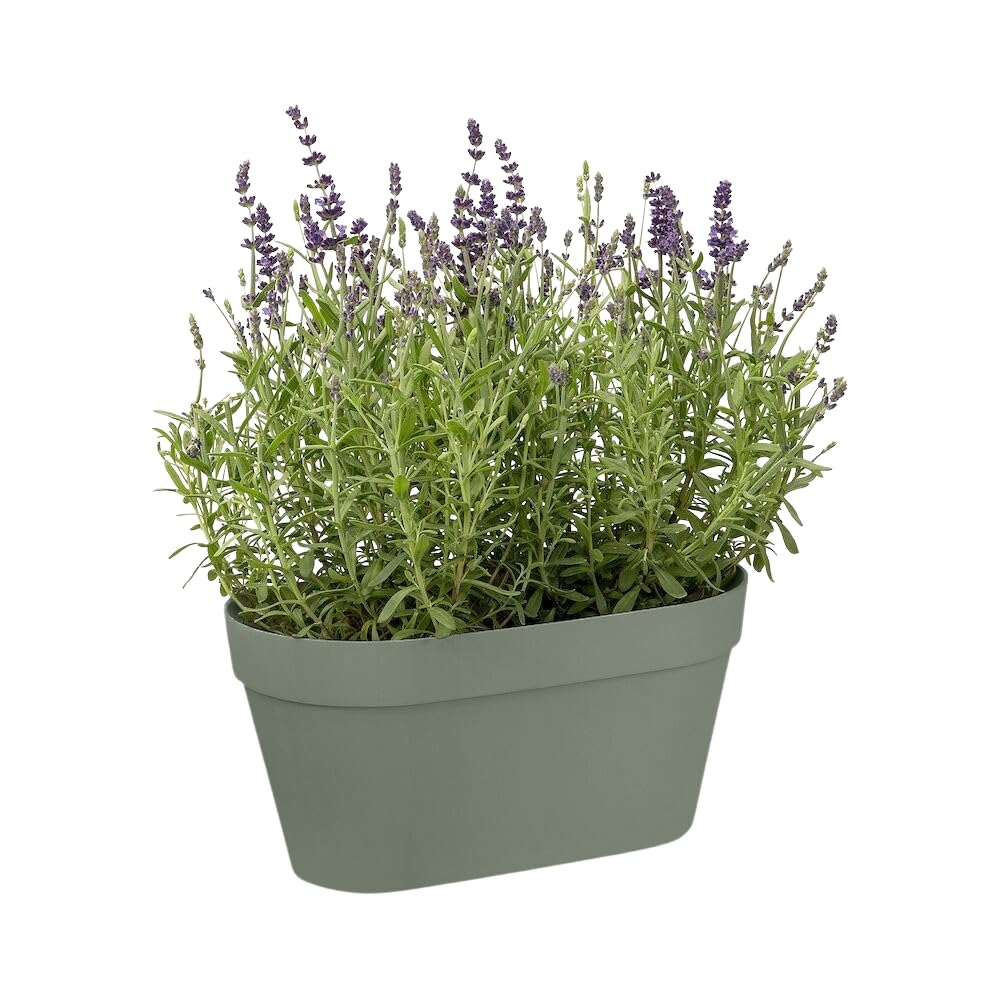 elho-loft-urban-green-wall-duo-28-cm-balkonkasten-pistazien-gr-n image 7