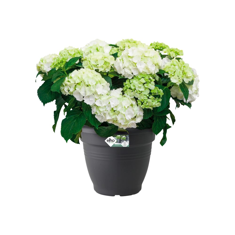 elho-green-basics-campana-30-blumentopf-29-2-x-h-23-cm-lebhaft-schwarz-f-r-drau- image 3
