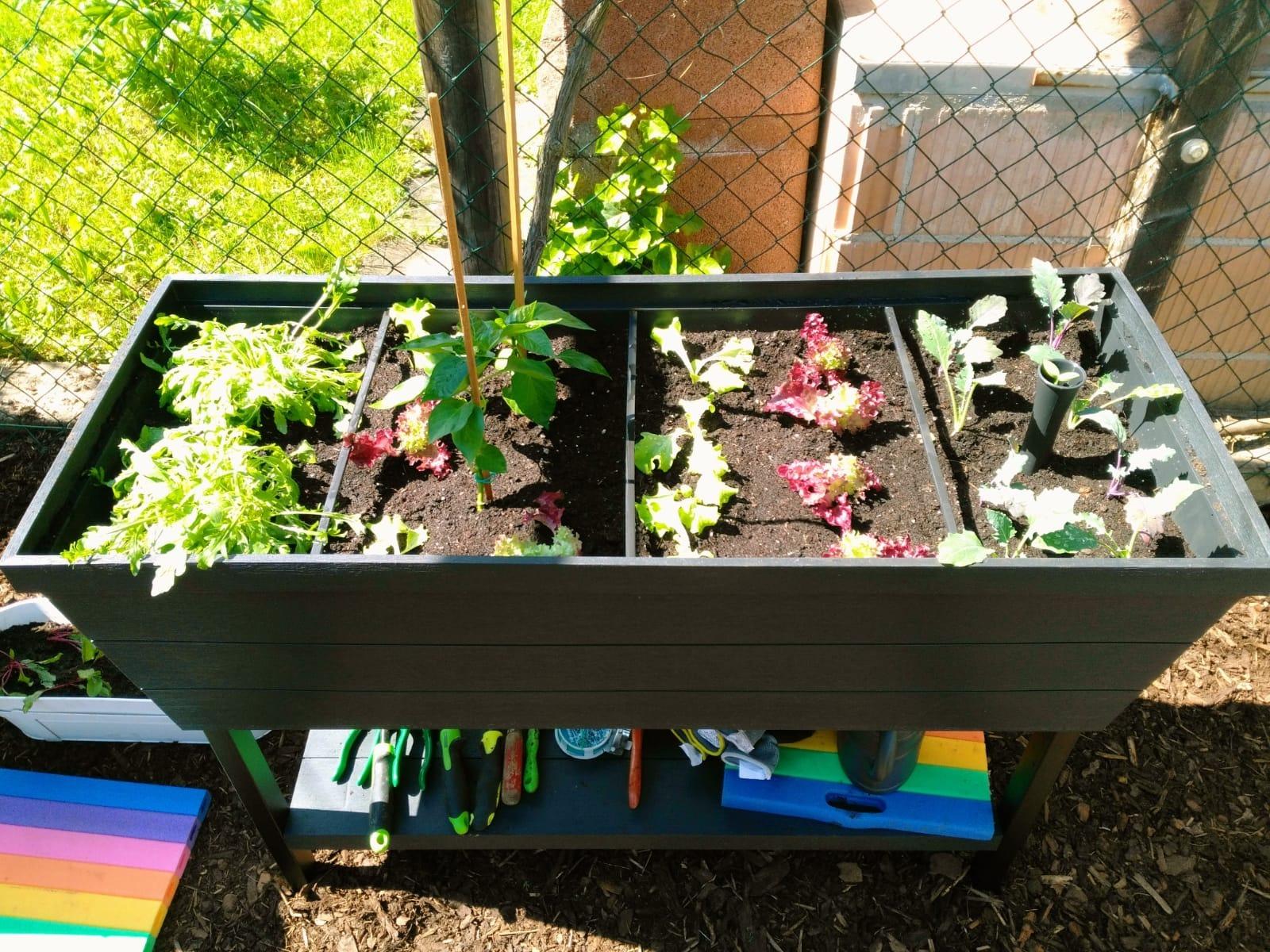 Unser Sommer-Salat kommt von hier