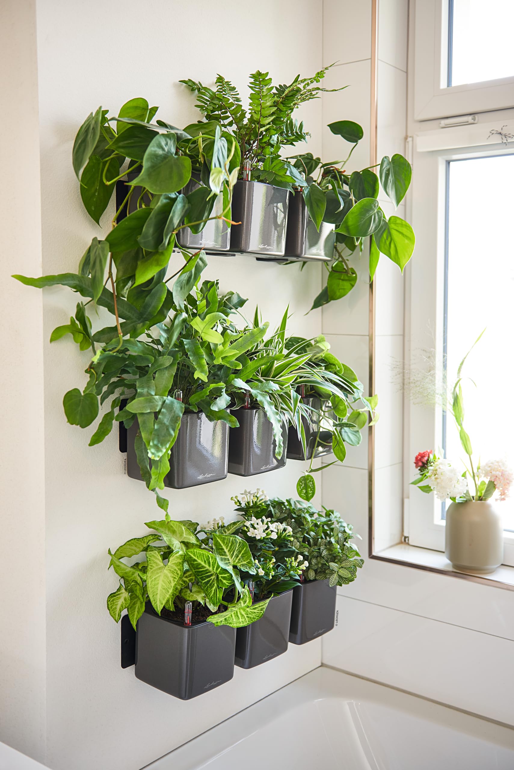 lechuza-cube-premium-green-wall-home-kit-anthrazit-hochglanz-3x-cube-14-mit-magn image 6