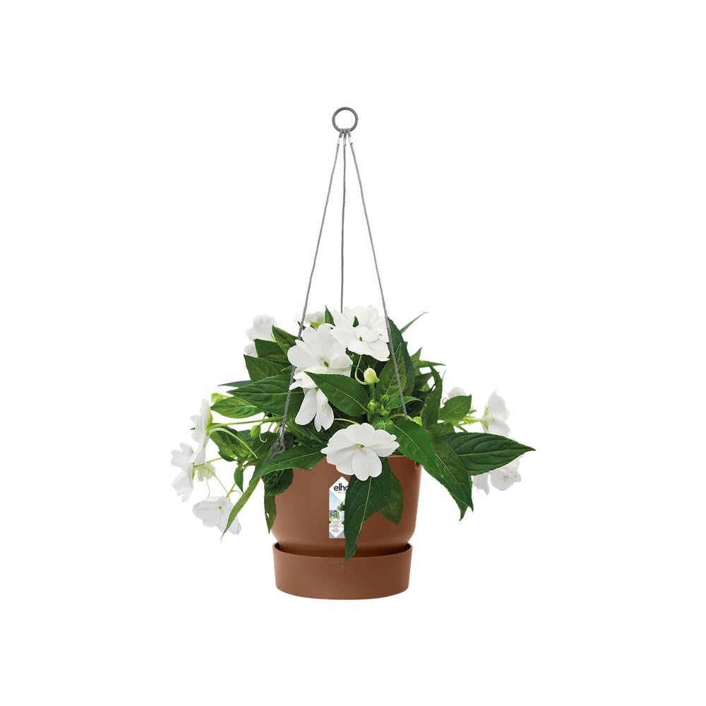 elho-greenville-h-ngeampel-24-cm-ingwerbraun-23-5-x-h-20-5-cm image 3