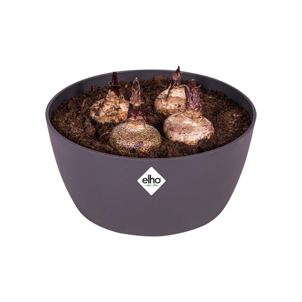 elho-brussels-schale-23-cm-anthracite-pflanzschale-22-9-x-h-10-8-cm image 3