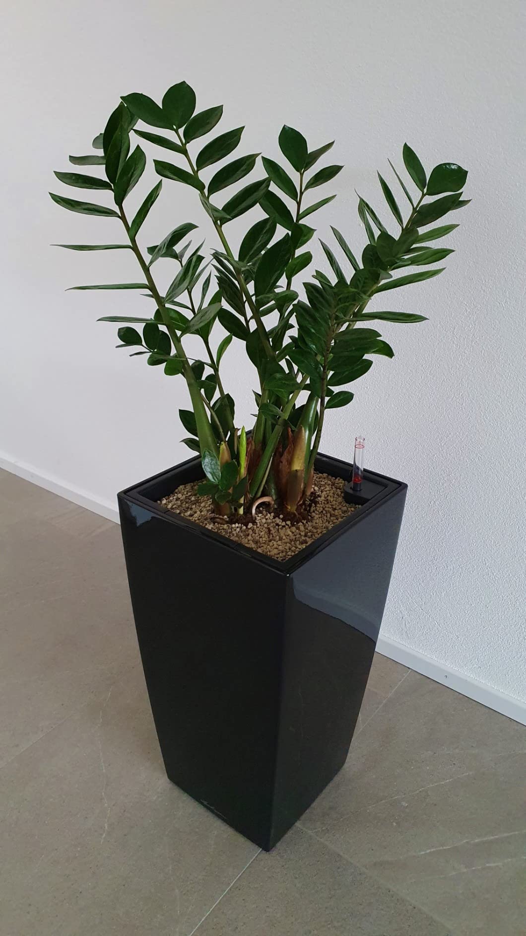 Farbe top, Versand mit Macke