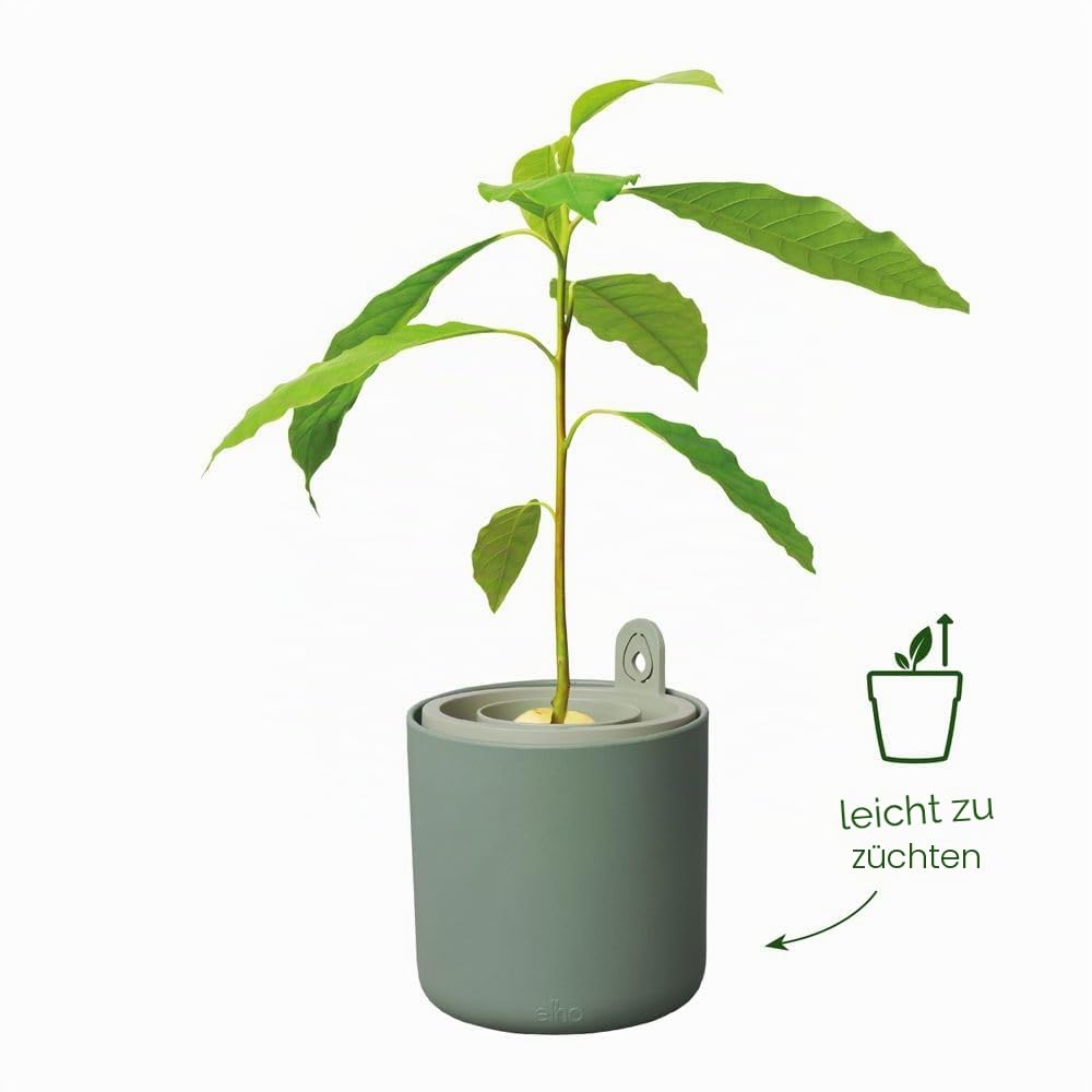 elho-amazing-avocado-pot-leaf-green-12-x-h-12-1-cm-aus-100-recyceltem-kunststoff image 2
