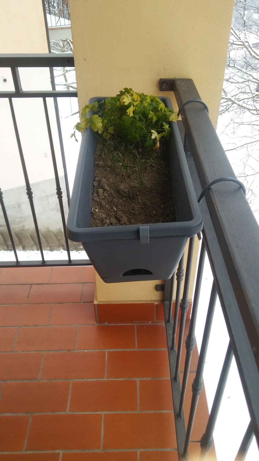 Empfehlung vom Senior