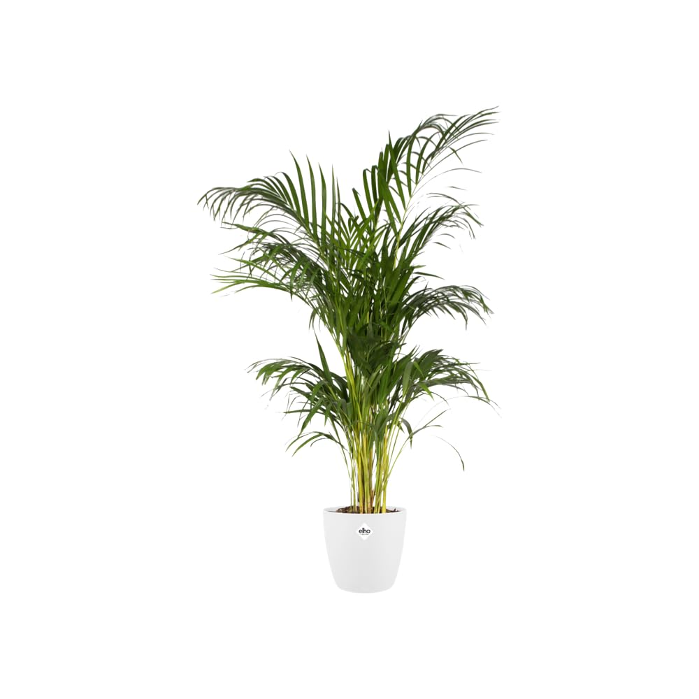 elho-brussels-rund-30-cm-blumentopf-wei-29-5-x-h-27-1-cm image 3