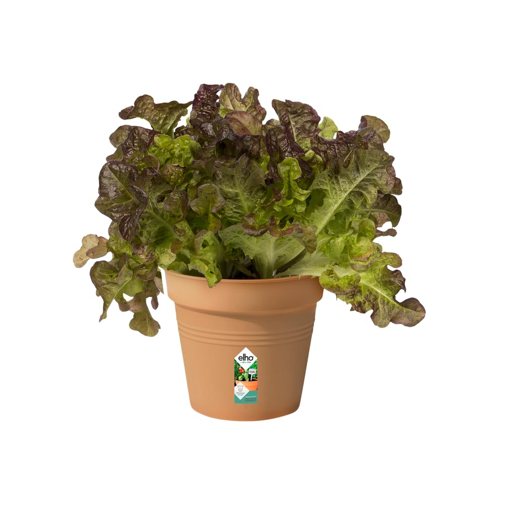 elho-green-basics-anzuchttopf-11-cm-mild-terra-11-x-h-10-2-cm image 3