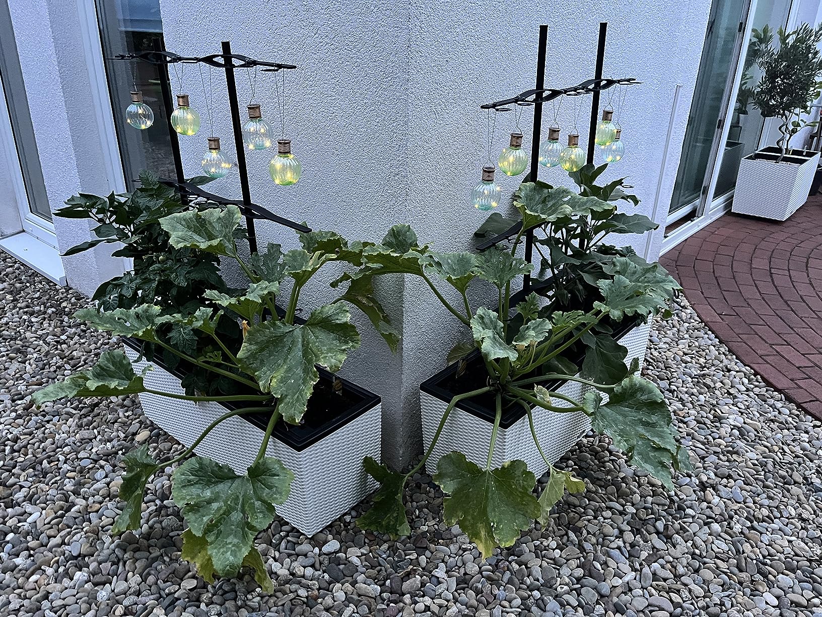 Traumhaft auf dem Balkon