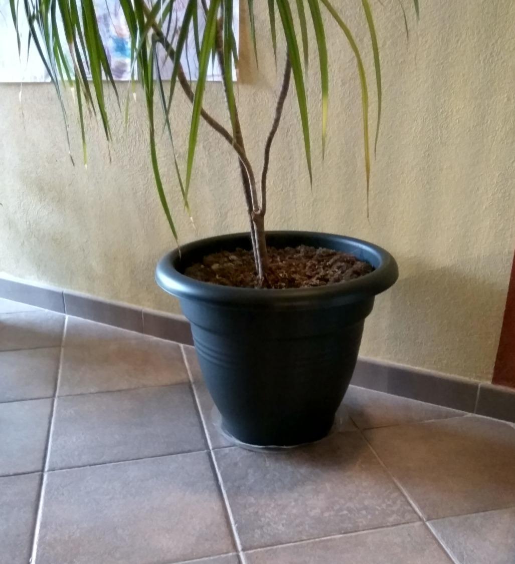 Absolute Kaufempfehlung!