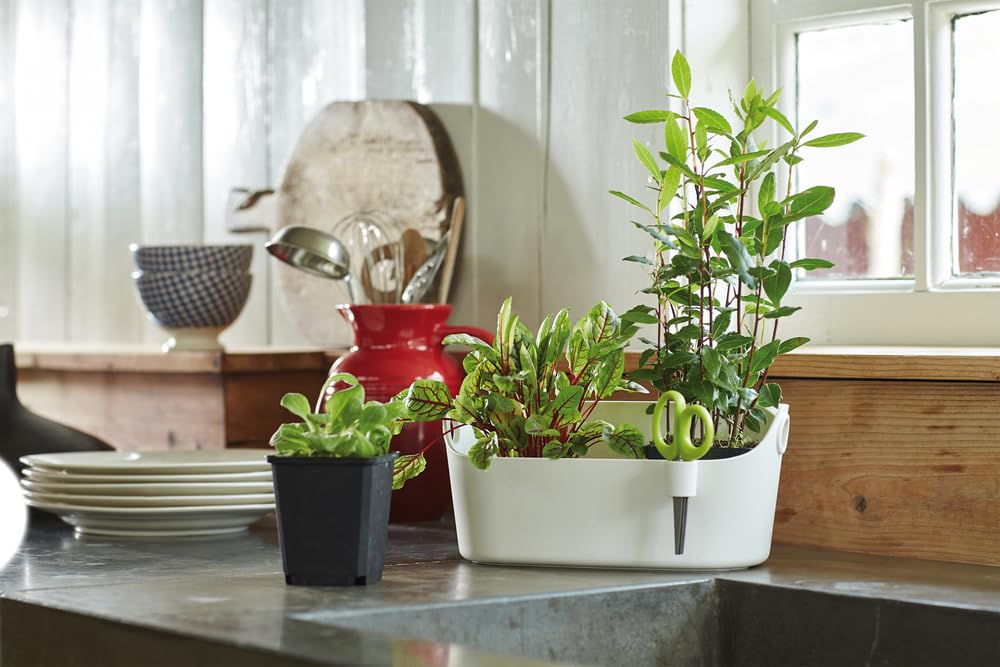 elho-brussels-herbs-station-30-kr-utertopf-wei image 5