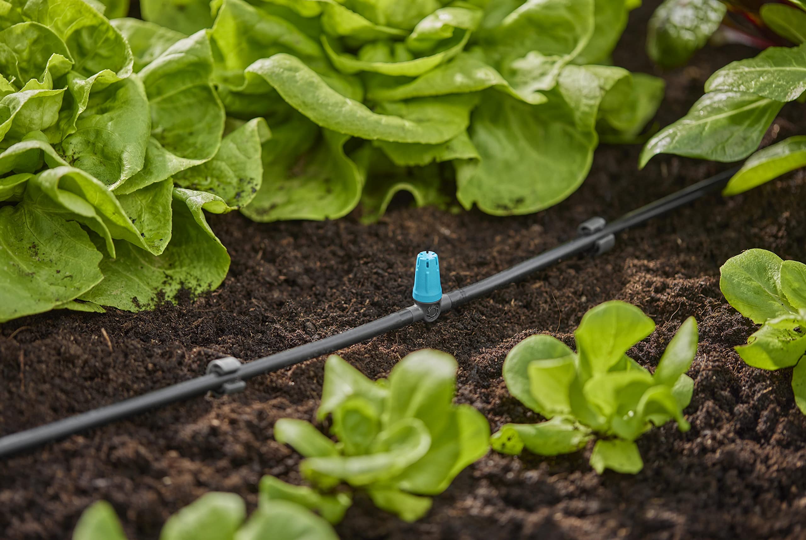gardena-micro-drip-system-kleinfl-chend-se-13316-20-10-40-cm-10-st-ck image 3