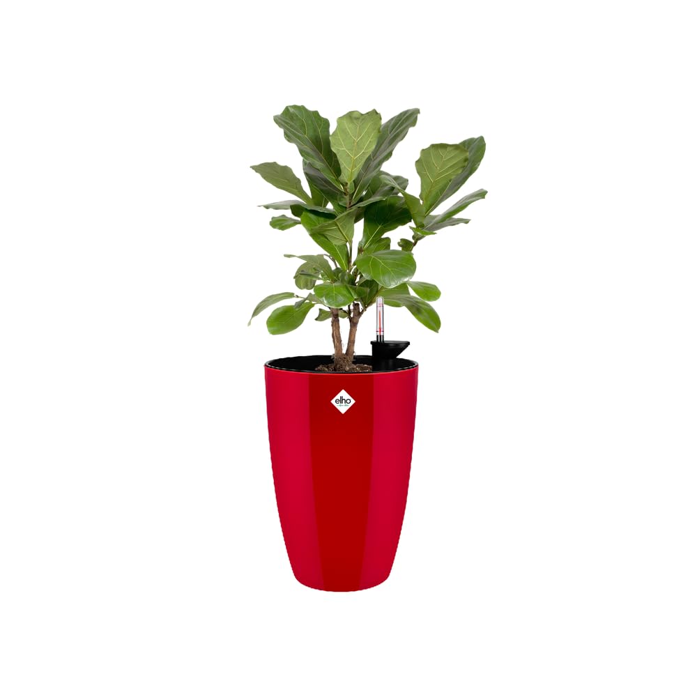 elho-brussels-diamond-rund-hoch-32-blumentopf-31-9-x-h-55-1-cm-lovely-rot-indoor image 6