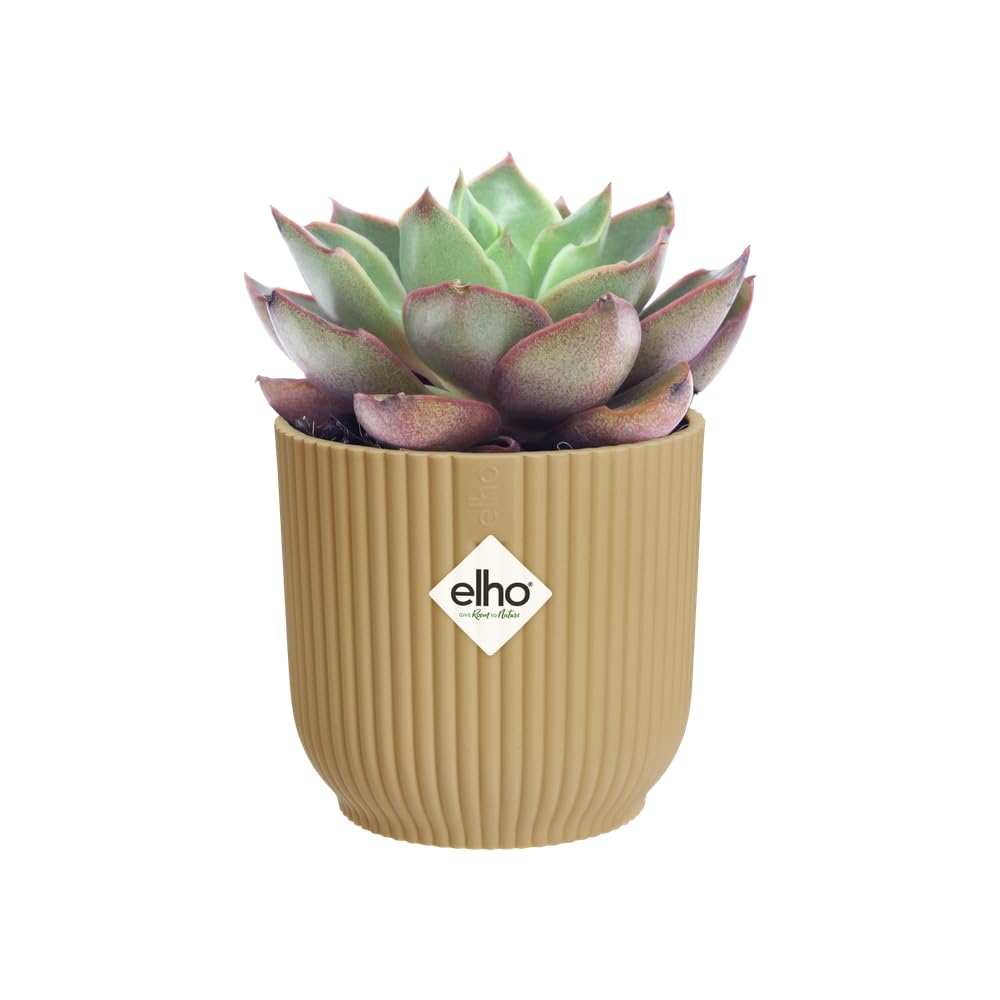elho-vibes-fold-rund-mini-7-cm-blumentopf-buttergelb image 8