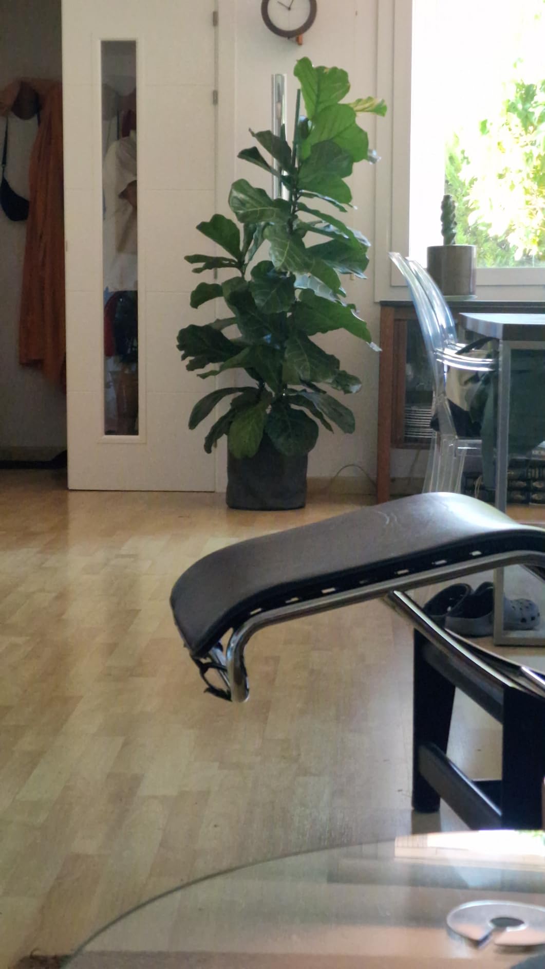 Leider Fleck am Kork