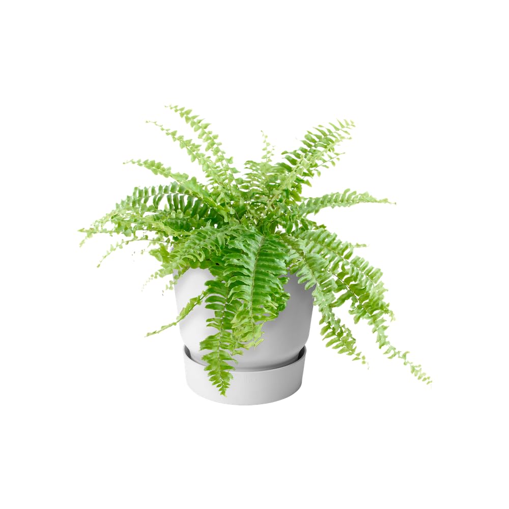 elho-greenville-easy-hanger-19-5-balkon-blumentopf-19-4-x-h-23-7-cm-wei image 3