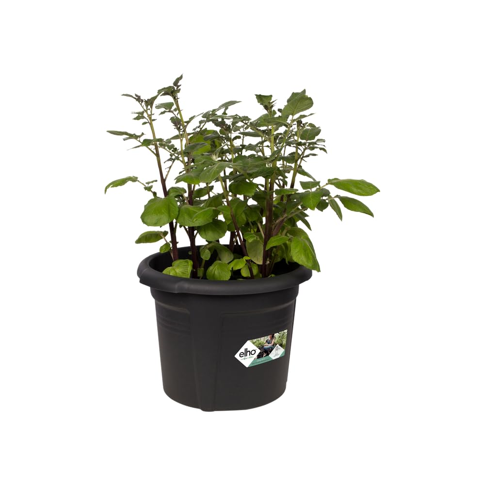 elho-green-basics-kartoffeltopf-33cm-living-schwarz-pflanztopf-mit-innentopf-32- image 3