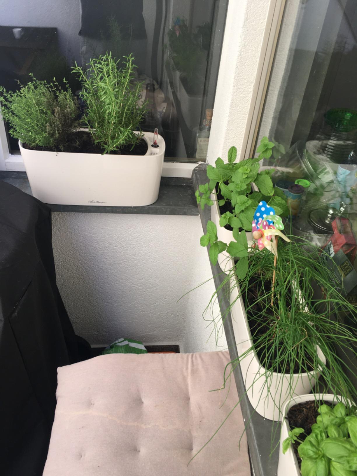 Gute Größe fürs Büro