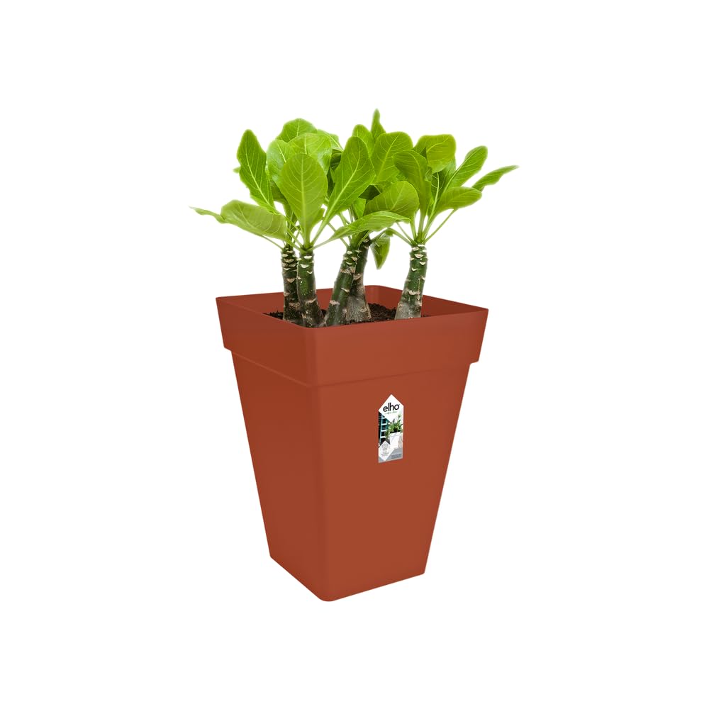 elho-loft-urban-eckig-hoch-30-blumentopf-brique-29-5-x-h-41-5-cm image 3