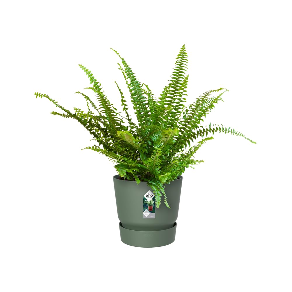 elho-greenville-easy-hanger-balkon-blumentopf-19-5-x-h-23-7-cm-laubgr-n image 8