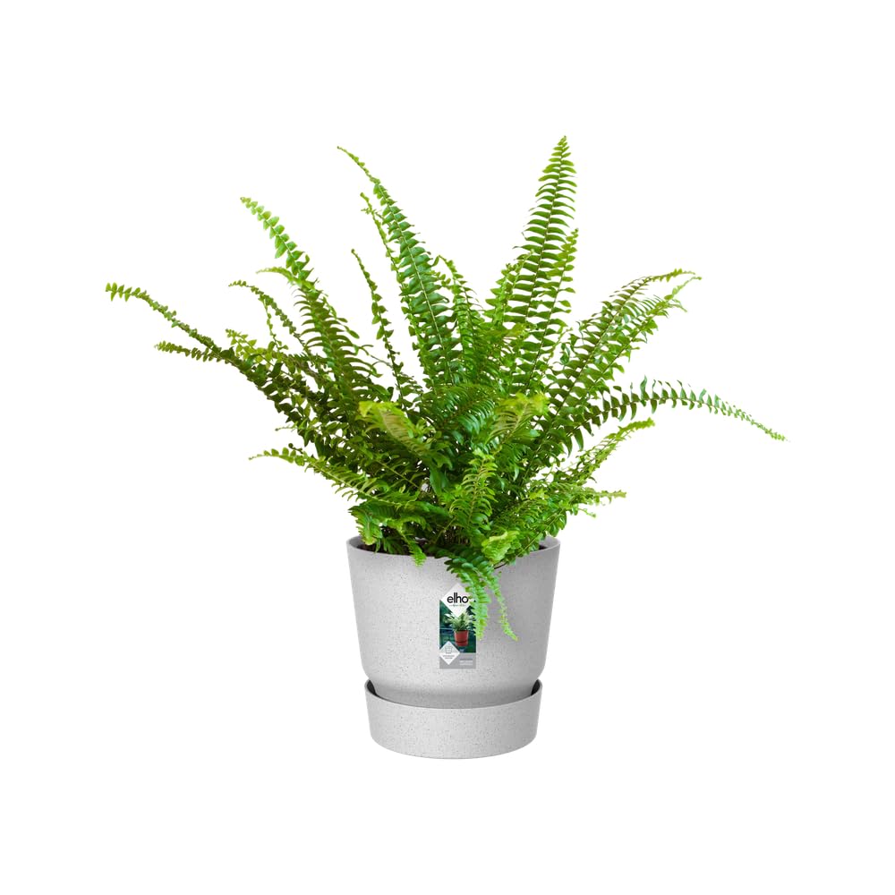elho-greenville-easy-hanger-19-5-balkon-blumentopf-19-4-x-h-23-7-cm-grau-living- image 8