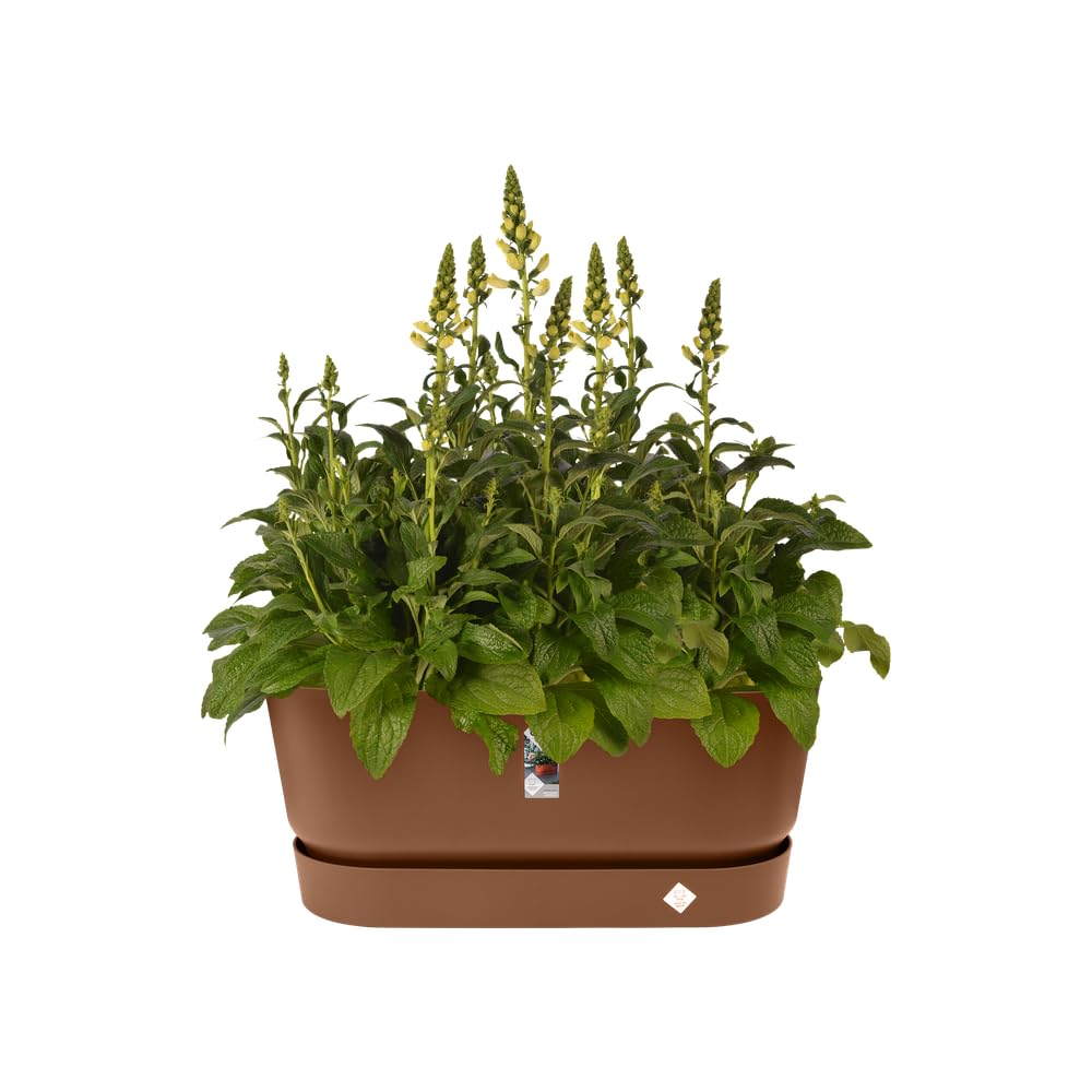 elho-greenville-pflanzgef-80-cm-ingwer-braun-l-35-x-b-78-x-h-33-5-cm-mit-rollen image 3