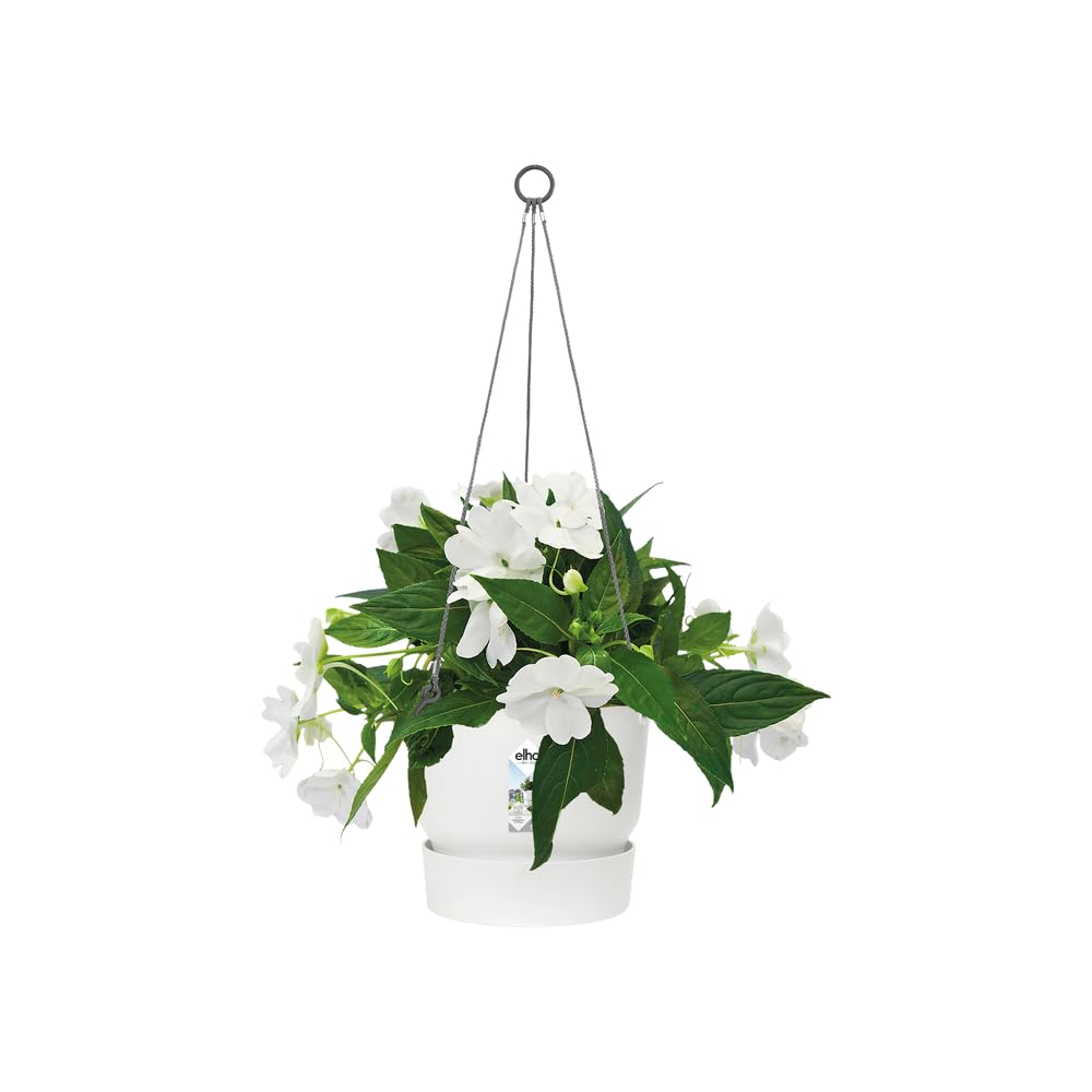 elho-greenville-h-ngeampel-24-cm-wei-23-5-x-h-20-5-cm-mit-untersetzer image 3