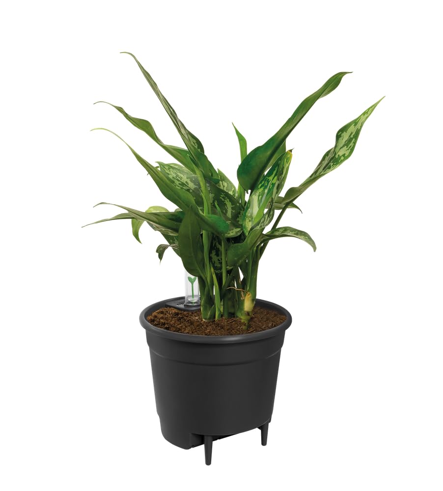 elho-bew-sserungssystem-einsatz-24-cm-living-schwarz-23-7-cm image 2