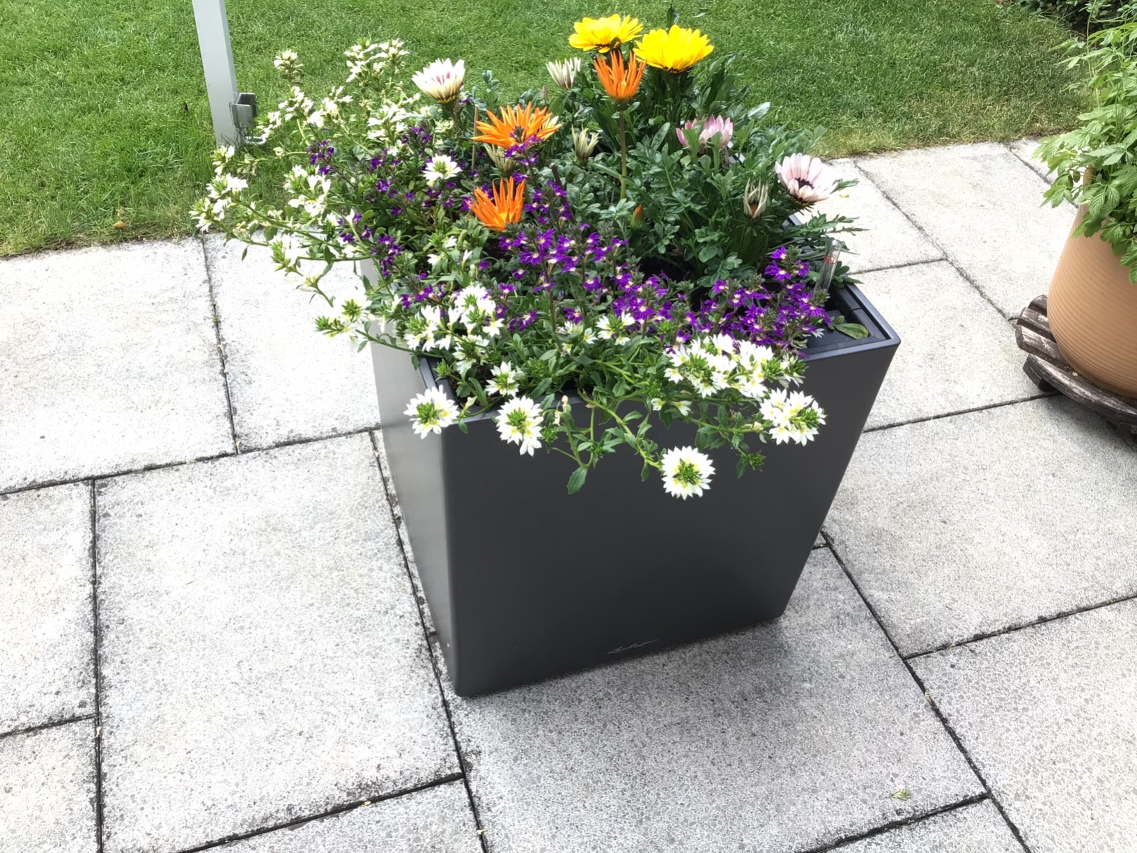 Perfekter Würfel